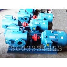 使用中不銹鋼轉(zhuǎn)子泵發(fā)生跑冒漏的原因有哪些