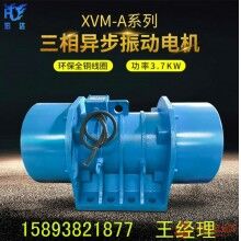 XVM-30-6三相振動(dòng)電機(jī) 功率2.2KW6級(jí)電動(dòng)機(jī)